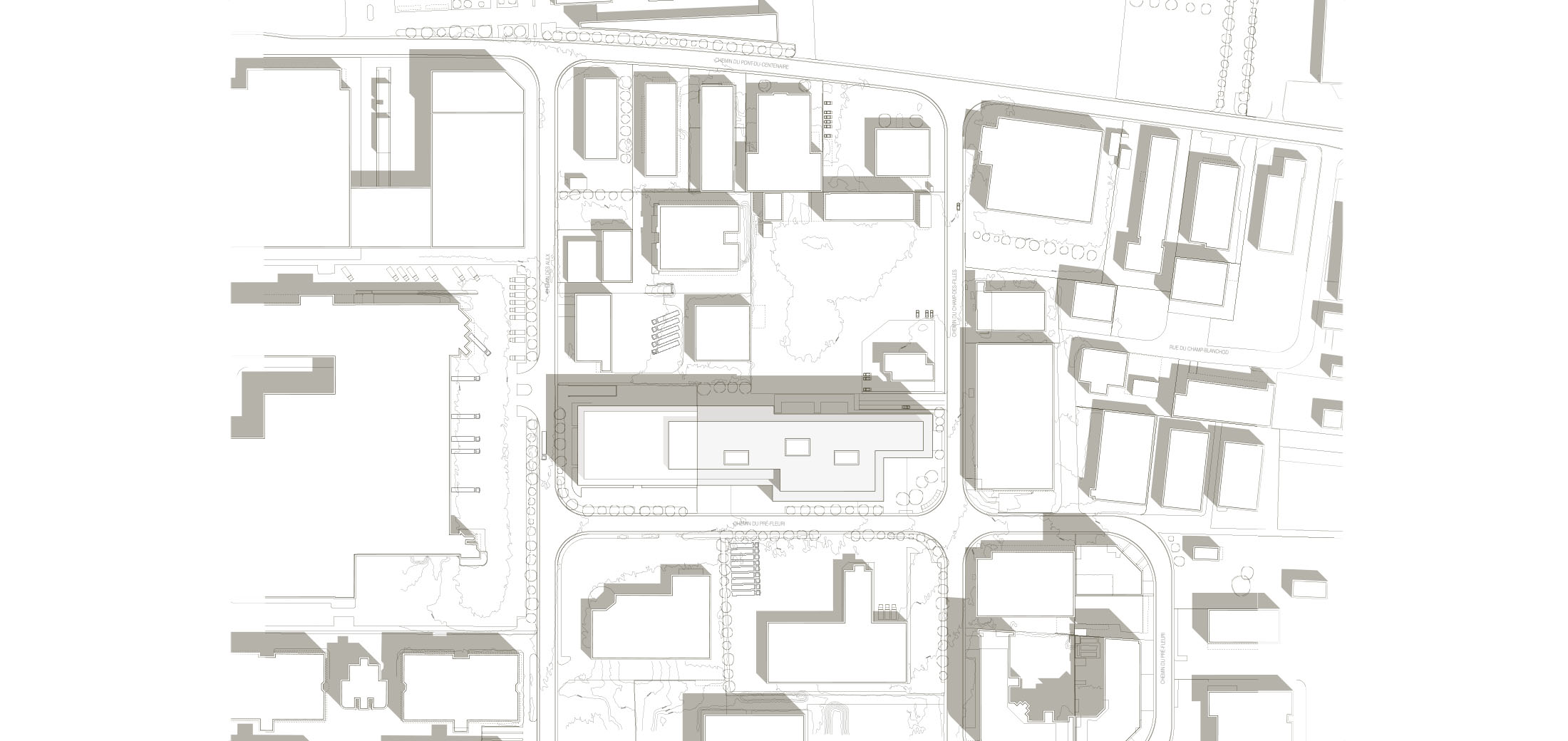 amos-archis-ziplo-03-2200x1040px